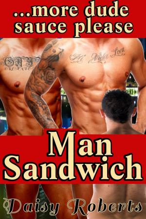 Cover of the book Man Sandwich...more dude sauce please by Laura Susan Johnson