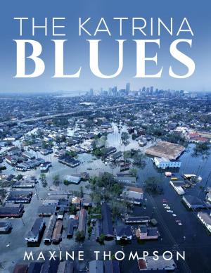 Book cover of The Katrina Blues