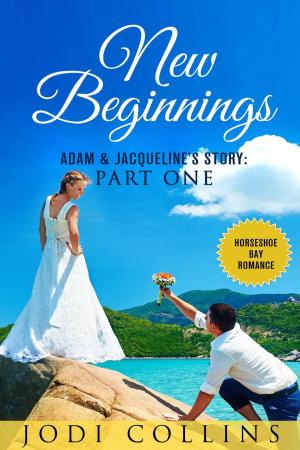 Cover of the book New Beginnings: Part One by Cass Wilder