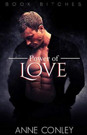 Cover of the book Power of Love by Danielle Norman