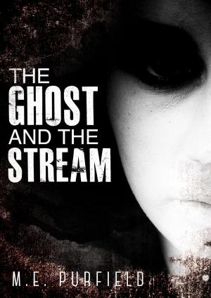Book cover of The Ghost and the Stream