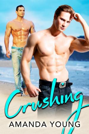 Book cover of Crushing