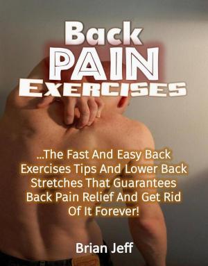Cover of Back Pain Exercises: The Fast And Easy Back Exercises Tips And Lower Back Stretches That Guarantees Back Pain Relief And Get Rid Of It Forever!