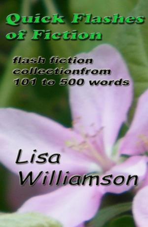 Cover of the book Quick Flashes of Fiction by Lisa Williamson