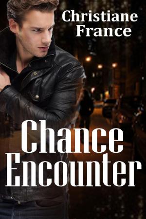 Cover of the book Chance Encounter by L.E. Wilson