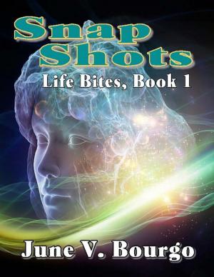 Cover of the book Snap Shots by Laura O'Connell