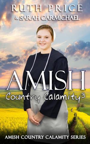 Cover of An Amish Country Calamity 3
