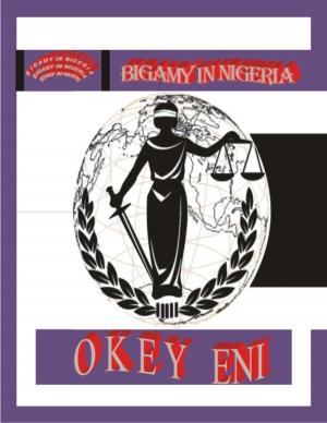 Cover of the book Bigamy in Nigeria by Okey Eni