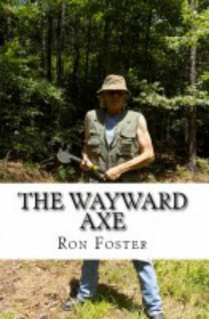 Book cover of The Wayward Axe