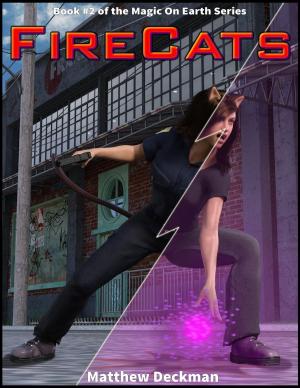 Cover of the book FireCats by Elizabeth Burgess
