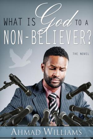 Cover of the book What Is God To A Non Believer? by Po Sally