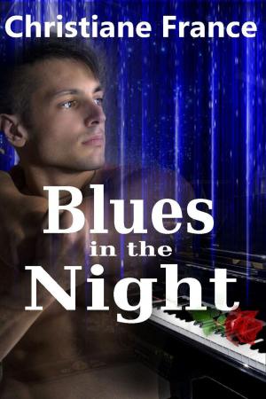 Cover of the book Blues InThe Night by Joanna Mazurkiewicz
