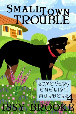 Cover of the book Small Town Trouble by Liz Jasper
