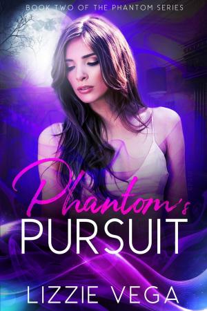 Book cover of Phantom's Pursuit