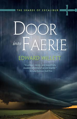 bigCover of the book Door Into Faerie by 