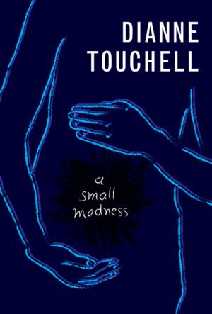 Cover of the book A Small Madness by Sarah Ellis