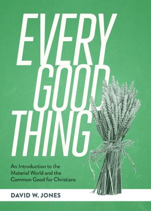 Cover of the book Every Good Thing by Allen Hamlin Jr.