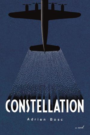 bigCover of the book Constellation by 