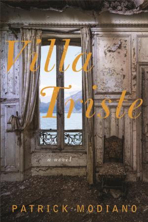 Cover of the book Villa Triste by Eshkol Nevo