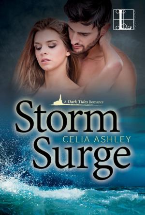 Cover of the book Storm Surge by Patricia Preston