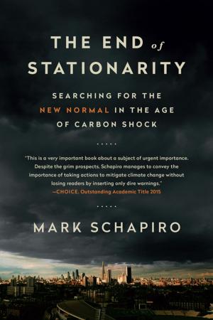 Cover of the book The End of Stationarity by Deirdre Heekin, Caleb Barber