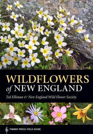 Cover of the book Wildflowers of New England by Robert Llewellyn, Joan Maloof