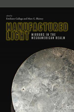 Cover of the book Manufactured Light by Michelle Montgomery