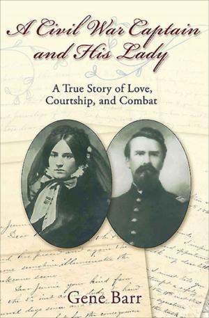 Cover of the book A Civil War Captain and His Lady by W. Davis Waters, Joseph Brown