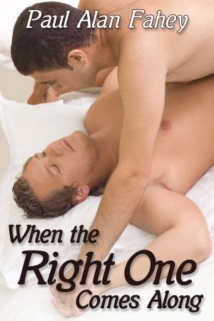 Cover of the book When the Right One Comes Along by Jessica Payseur