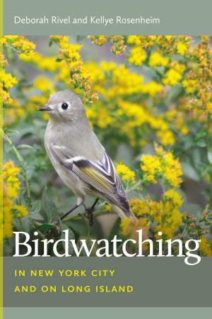 Cover of the book Birdwatching in New York City and on Long Island by Christopher Sandford