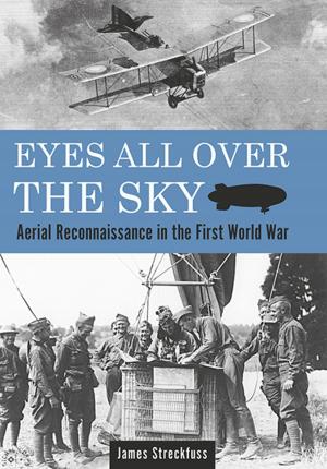 Cover of the book Eyes All Over the Sky by Hans Wiesman