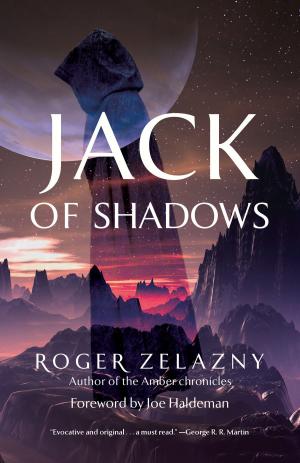 Cover of the book Jack of Shadows by Clive Catterall