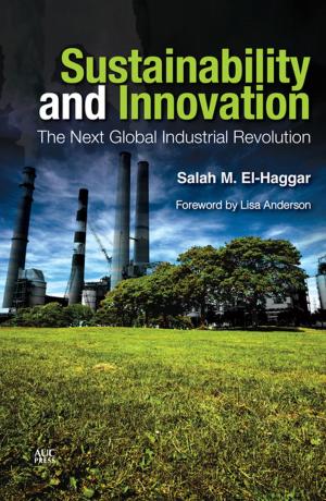 Cover of the book Sustainability and Innovation by Maysa Ayoub, Gerda Heck, Tsourapas Gerasimos, Angelos Dalachanis, Alexandra Parrs, Joseph John Viscomi