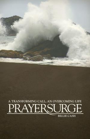 Cover of the book PrayerSurge by H. Robert Wilson Ph.D.