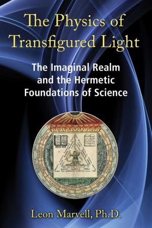 Book cover of The Physics of Transfigured Light