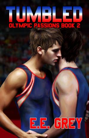 Cover of the book Tumbled by Kailin Morgan
