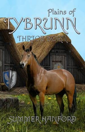 bigCover of the book Plains of Tybrunn by 