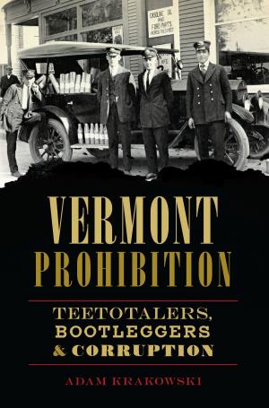 Cover of the book Vermont Prohibition by Gayle Neville Blum