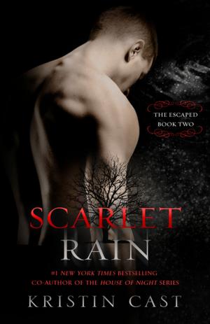 Cover of the book Scarlet Rain by Rhett C. Bruno