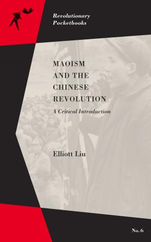 Cover of the book Maoism and the Chinese Revolution by Staughton Lynd