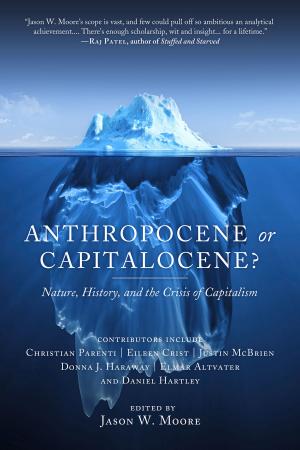 Book cover of Anthropocene or Capitalocene?