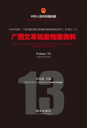 bigCover of the book 《广西文革机密档案资料》（13） by 