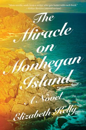 Cover of the book The Miracle on Monhegan Island: A Novel by David Small