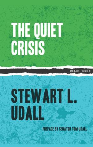 Cover of the book The Quiet Crisis by Aaron Burch