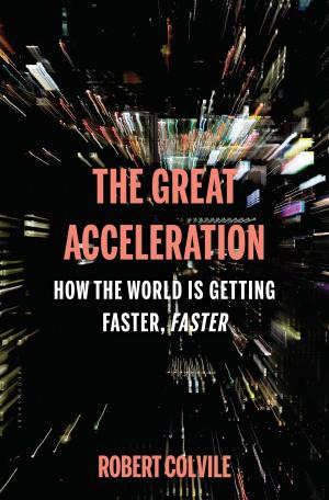 Cover of the book The Great Acceleration by Janne Bjerre Christensen
