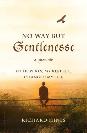 Cover of the book No Way But Gentlenesse by Peta Bee, Dr Sarah Schenker