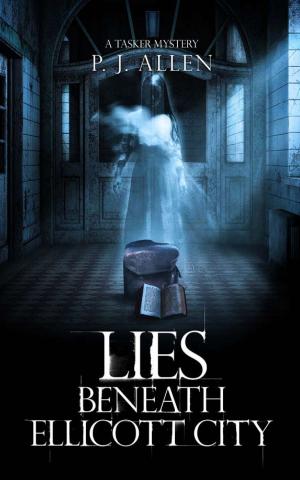 Cover of the book Lies Beneath Ellicott City by David Perry