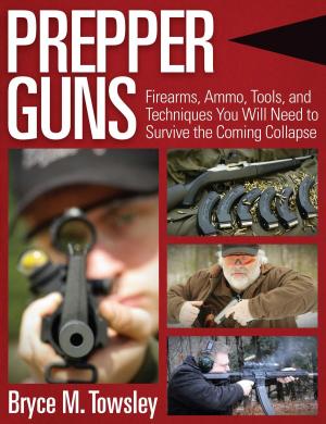 Cover of the book Prepper Guns by H.E. Jacob