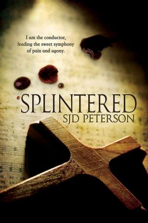 Cover of the book Splintered by Marguerite Labbe