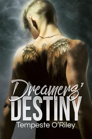 Cover of the book Dreamers' Destiny by Stephen Osborne